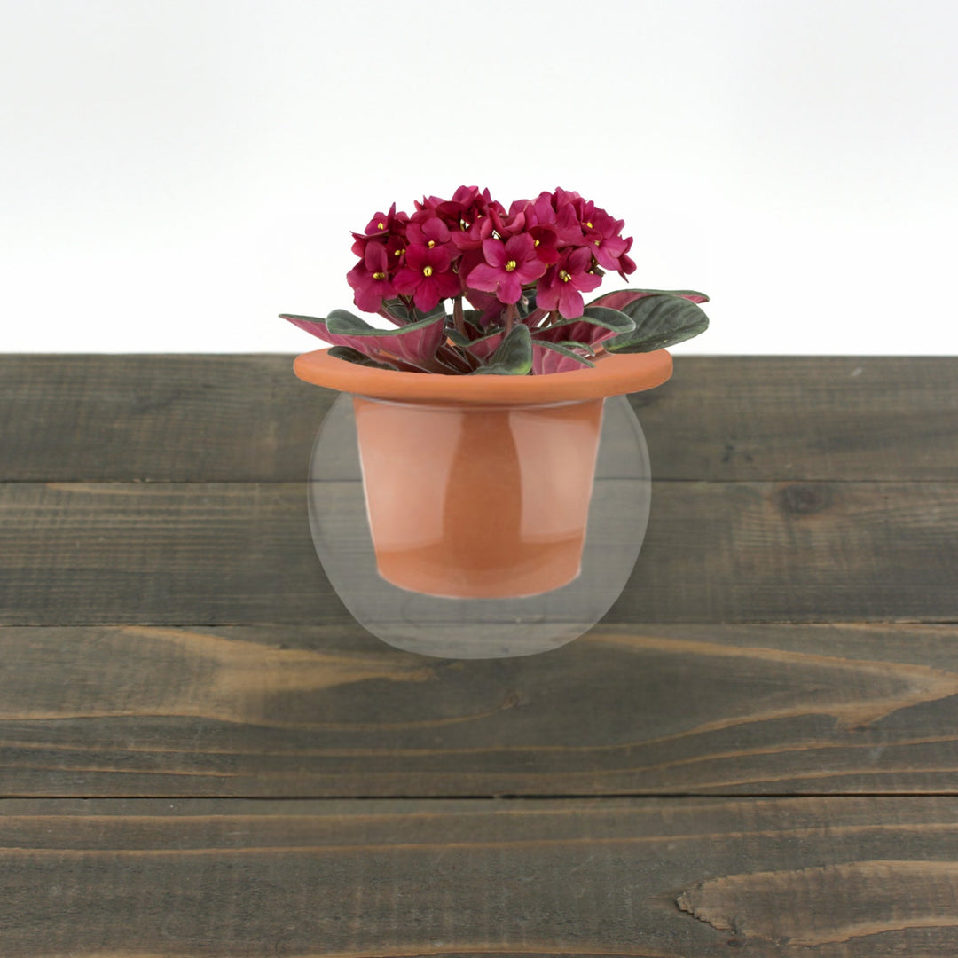Glass & Terracotta Self Watering Planter