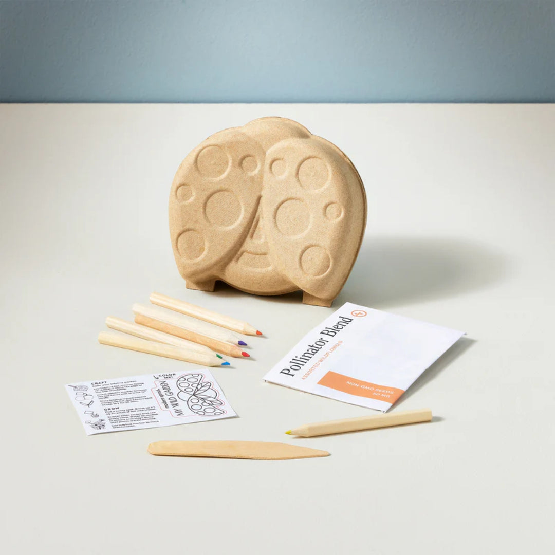 modern sprout® Curious Critters Garden Kits