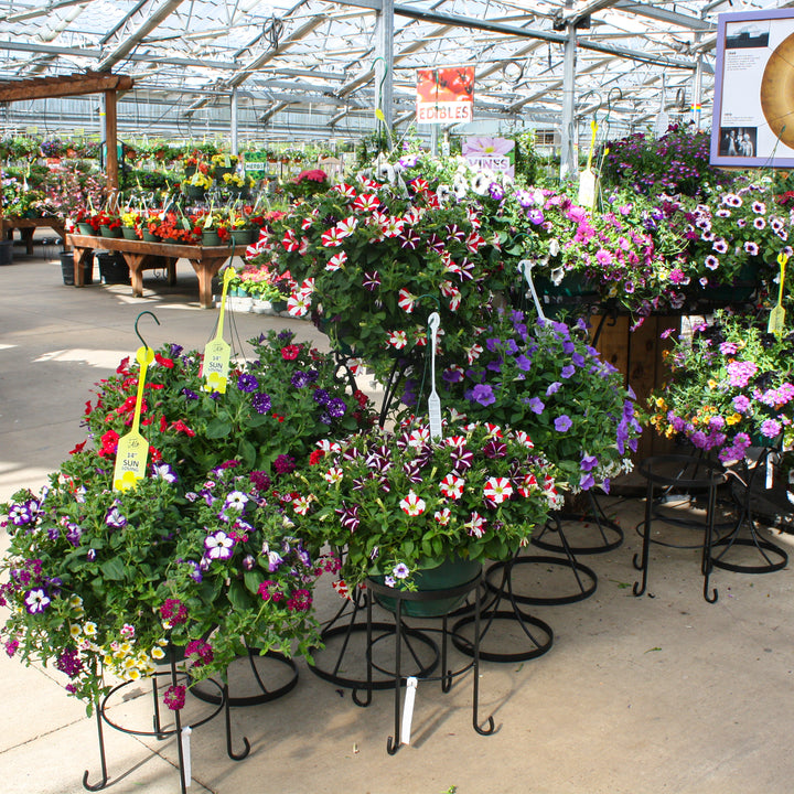 Al's Garden and Home 14 inch sun loving Hanging Basket display with basket stands