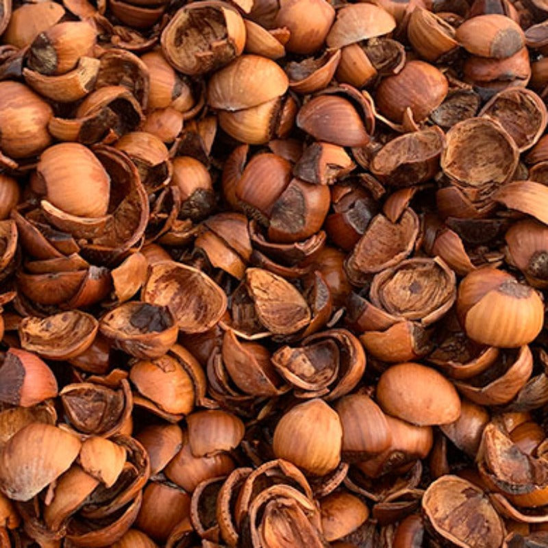 Als garden and Home Bulk Filbert (Hazelnut) Shells