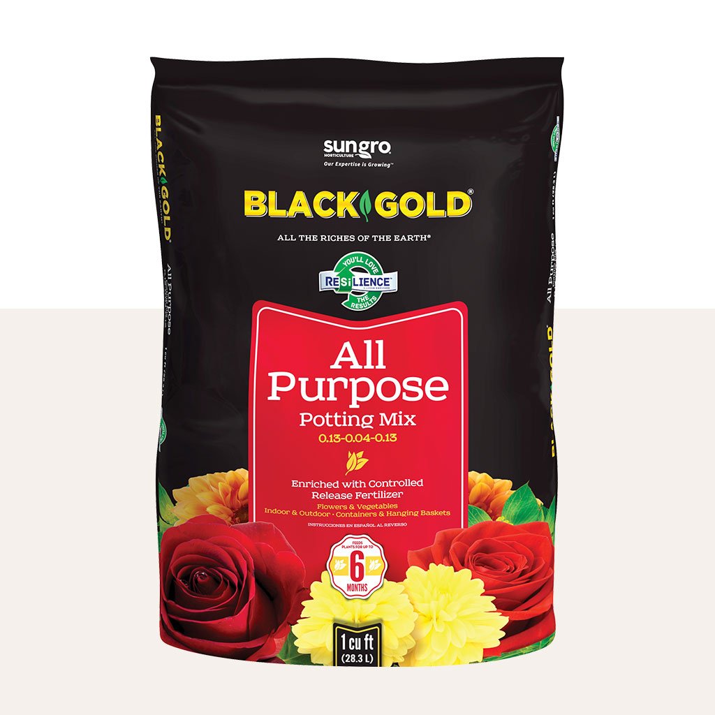 Black Gold All Purpose Potting Mix enriched with controlled release fertilizer