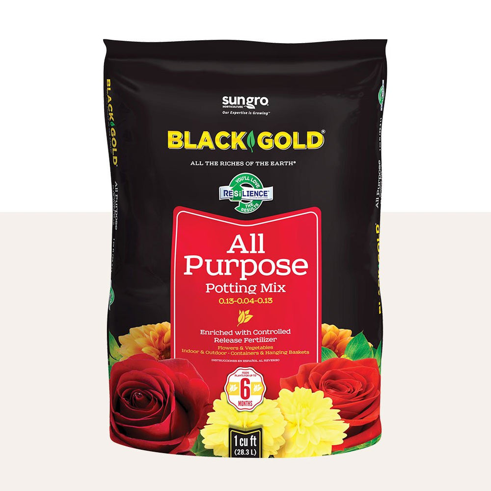 Black Gold All Purpose Potting Mix enriched with controlled release fertilizer
