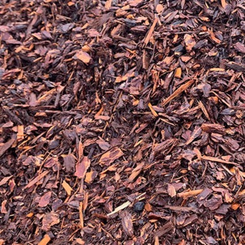 Al' Garden and Home Bulk Medium Fresh Fir