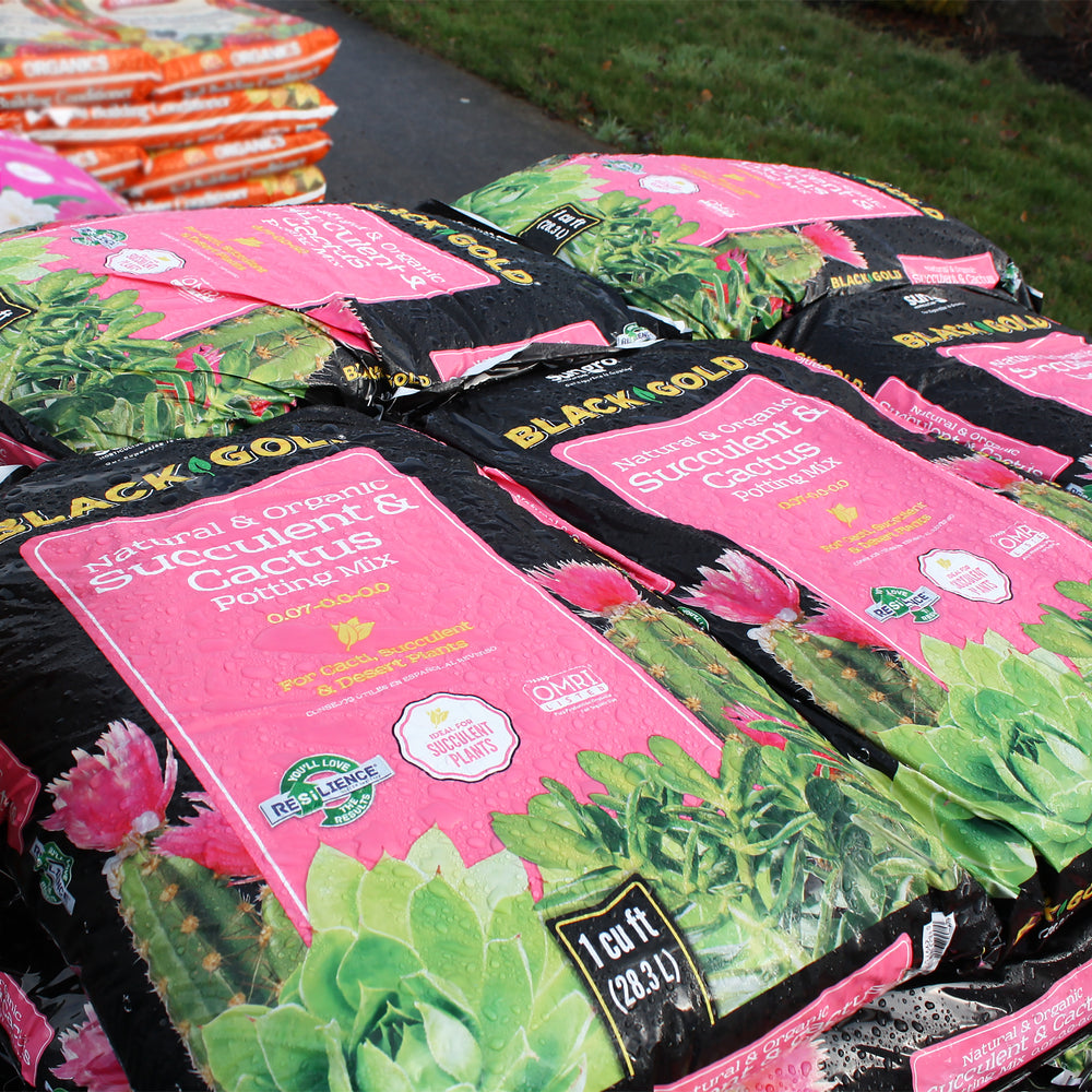 Black Gold Natural & Organic Succulent & Cactus Potting Mix