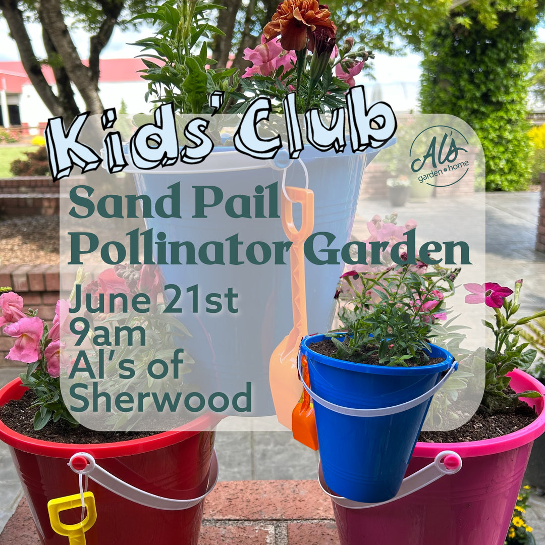 Sand Pail Pollinator Garden - Kids' Club: Sherwood