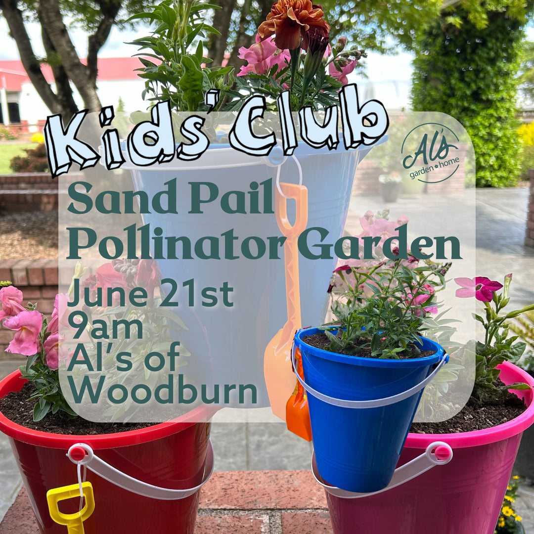 Sand Pail Pollinator Garden - Kids' Club: Woodburn