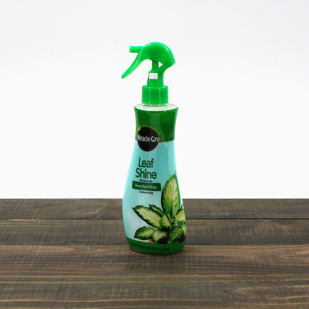 Al's Garden & Home Miracle Gro Leaf Shine
