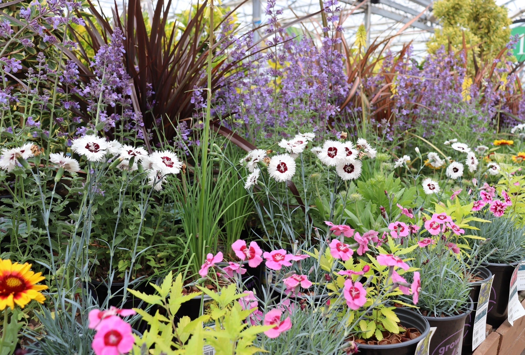 Garden with Multi Colored Plants Greater Portland Area