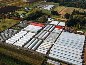 The Farm In Hubbard Oregon