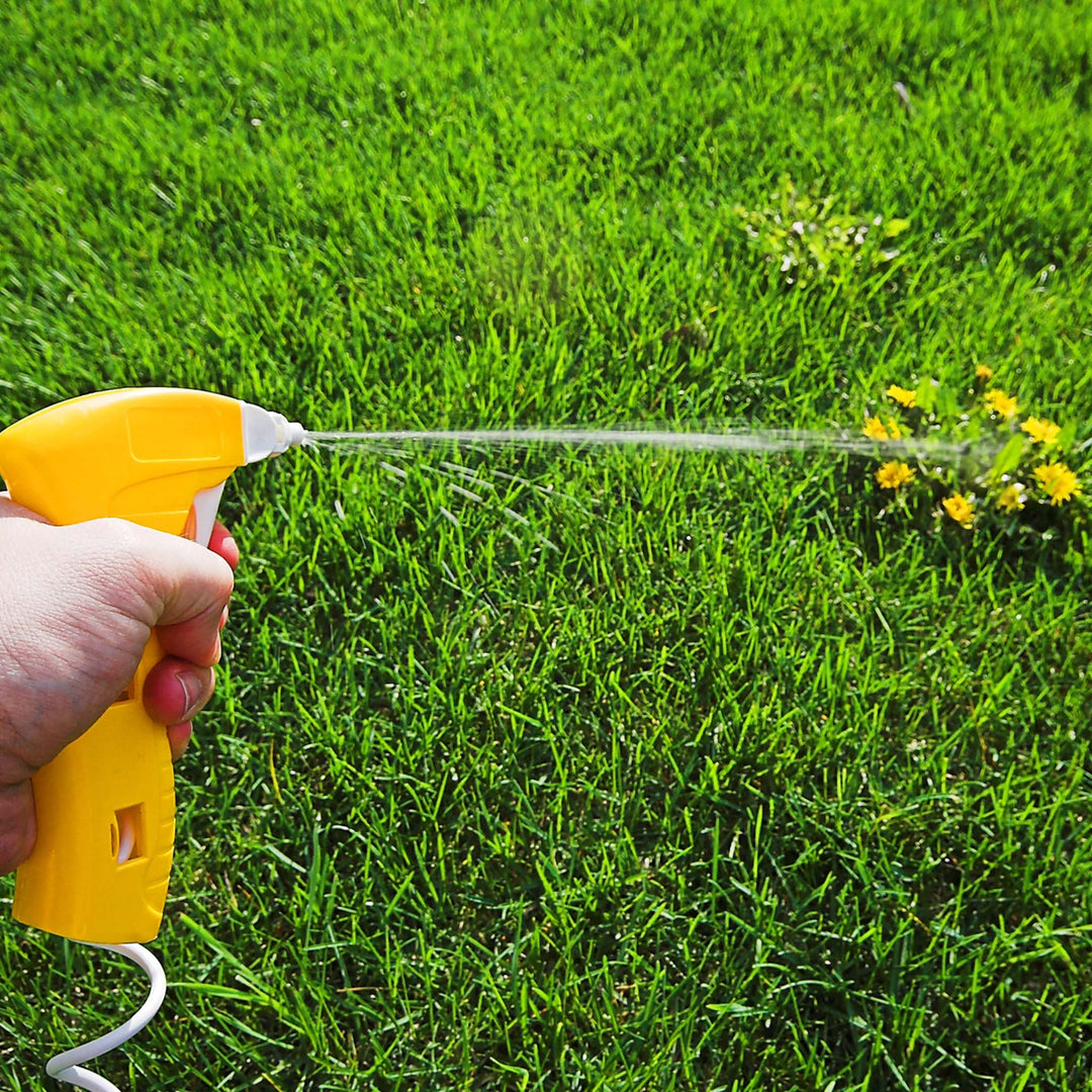 spraying basics growing guide