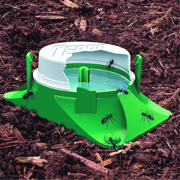 Terro Liquid Ant Bait in action
